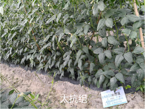 15156690881931571b5V.png blob.png