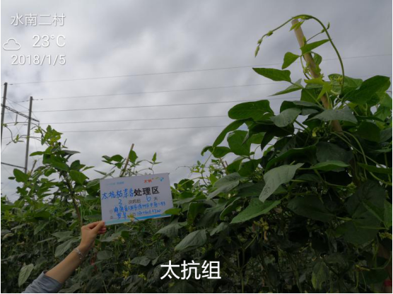 1515669122734455HuOc.png blob.png